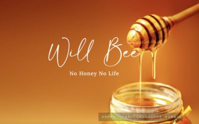 専門店サイト制作実績：ハチミツ販売サイトを制作しました！